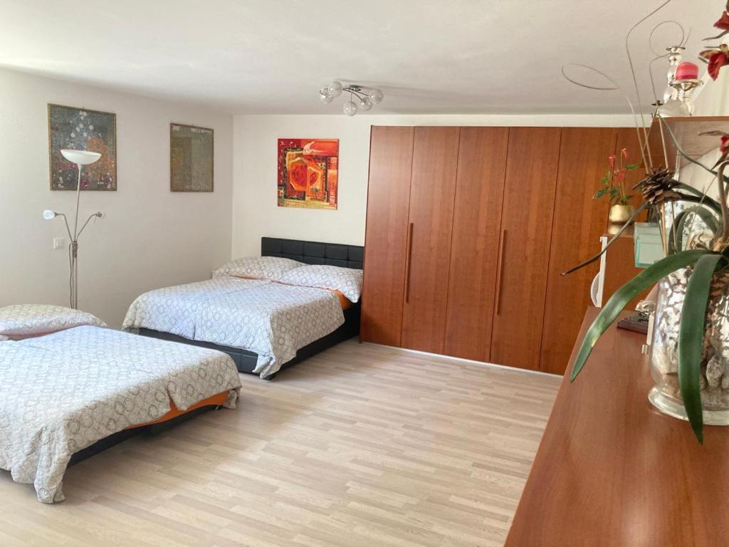 Studio 1 1/2 Contone Экстерьер фото